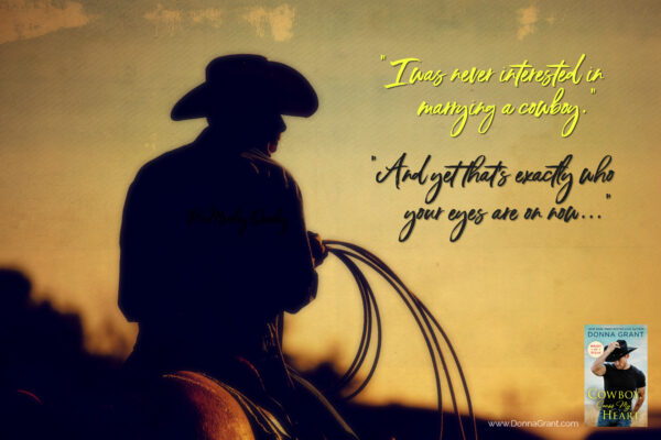 Cowboy with lasso silhouette at small-town rodeo. Note: added grain. Cowboy with lasso silhouette at small-town rodeo. Note: added grain.