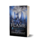 Flame paperback 3D