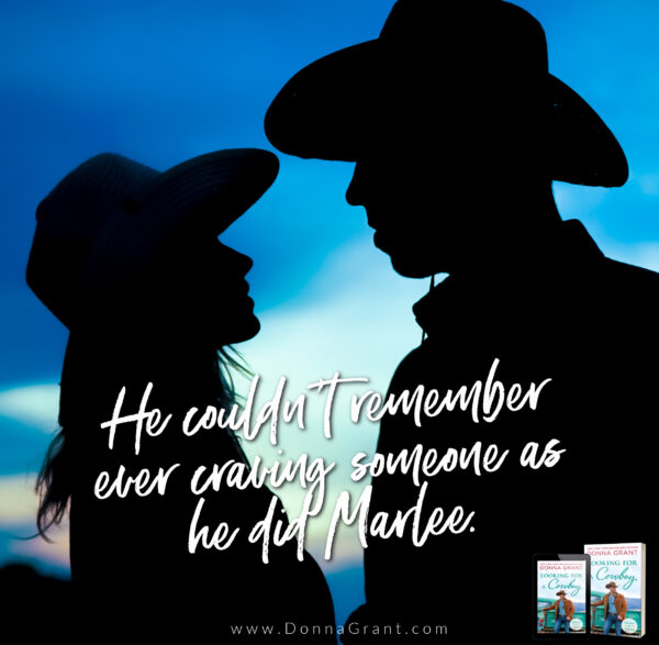 LFaC teaser 1 LFaC teaser 1