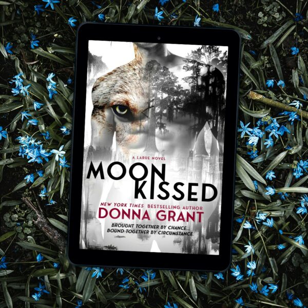 DXxAoFjgKtOW DXxAoFjgKtOW